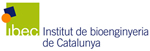 IBEC